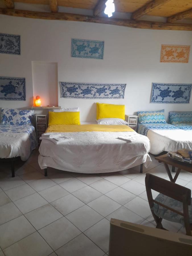 Bed and Breakfast Giardino Del Sole Olbia Zewnętrze zdjęcie