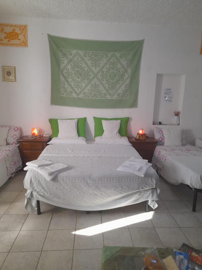 Bed and Breakfast Giardino Del Sole Olbia Zewnętrze zdjęcie