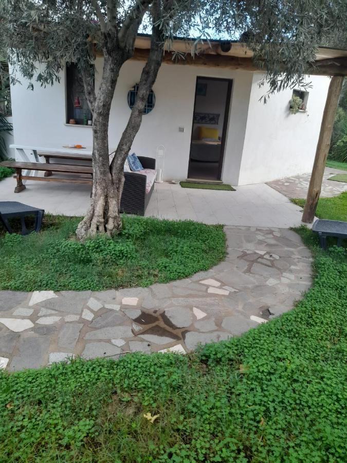 Bed and Breakfast Giardino Del Sole Olbia Zewnętrze zdjęcie