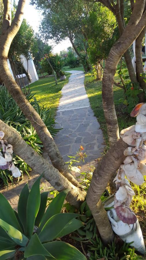 Bed and Breakfast Giardino Del Sole Olbia Zewnętrze zdjęcie